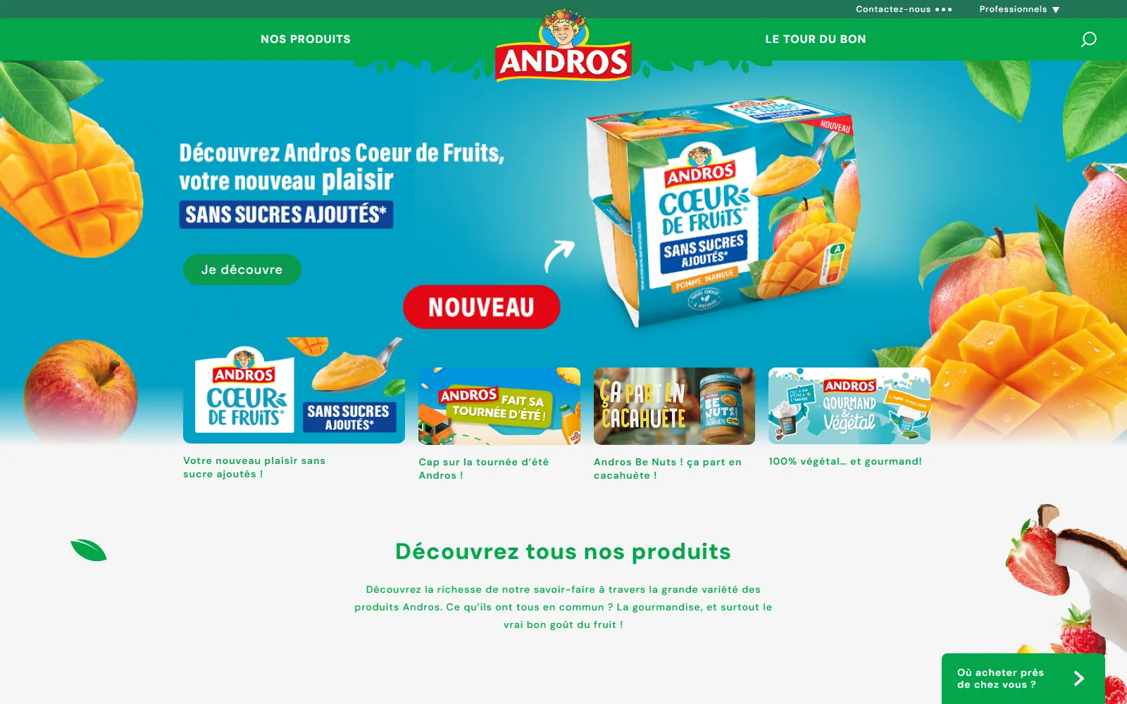 La page d'accueil de Andros, telle qu'elle s'affiche en ligne.